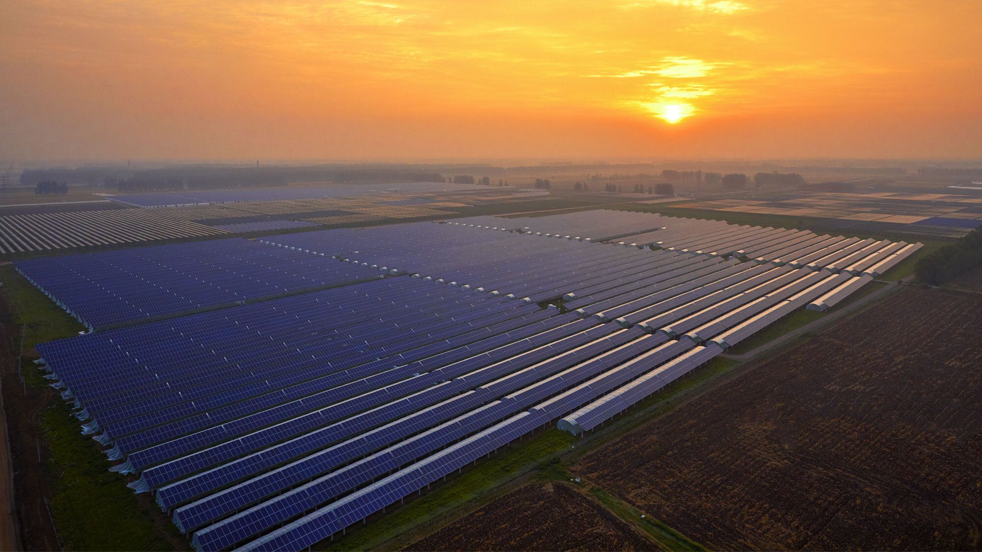 Solar Farm with sunset