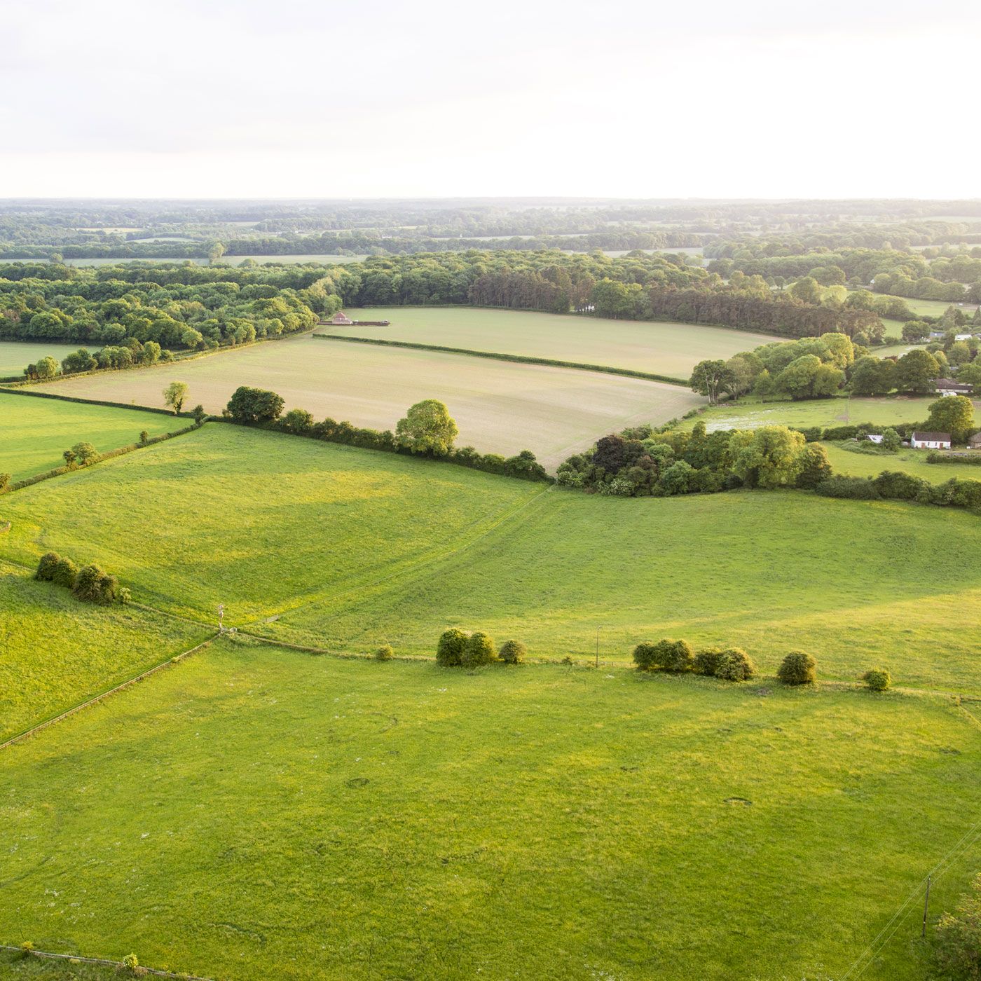 Aerial view of a field