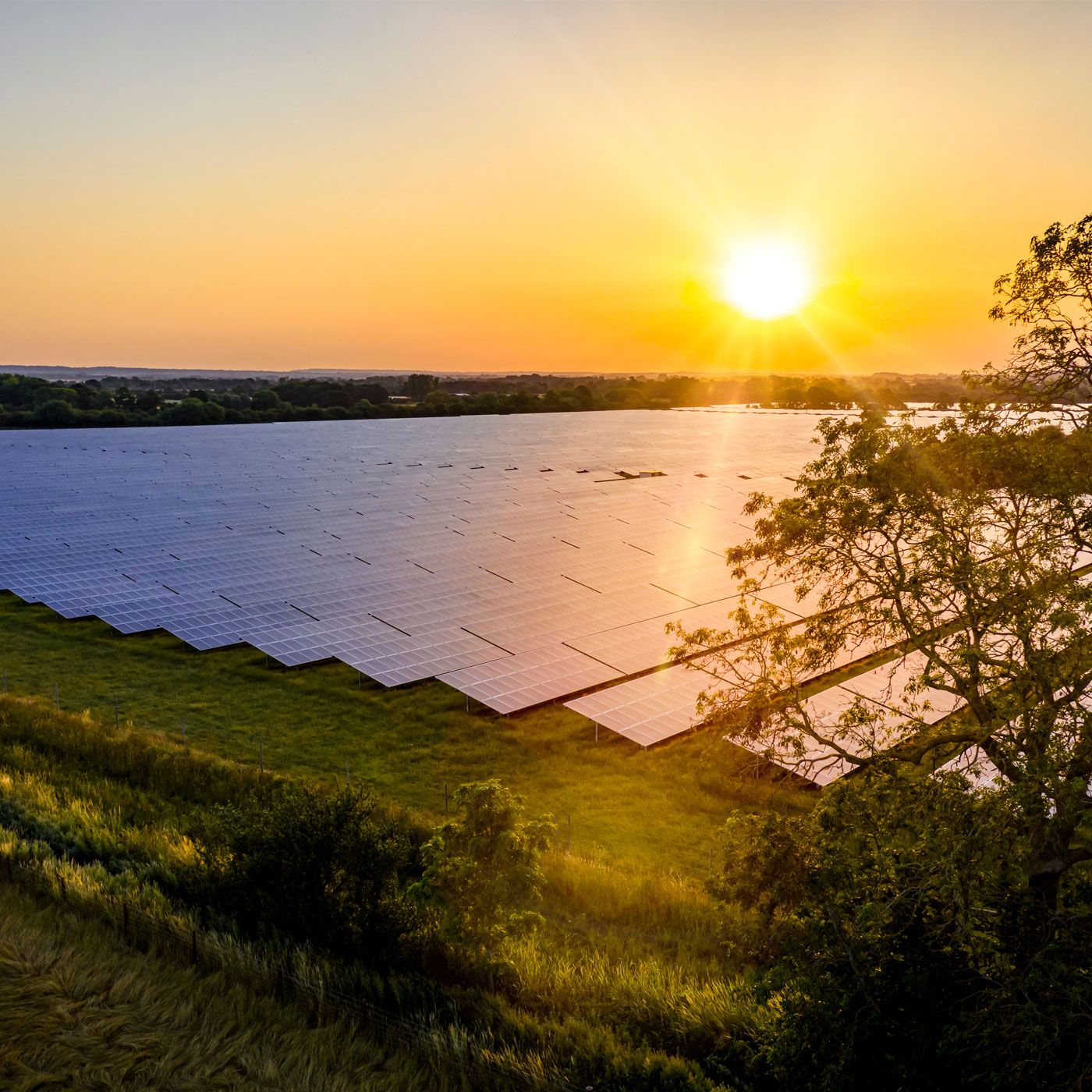 Solar farm with a sunset 